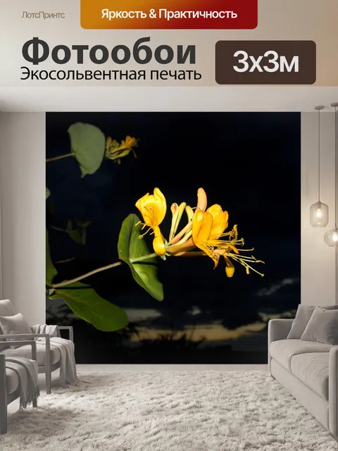 Фотообои Сад