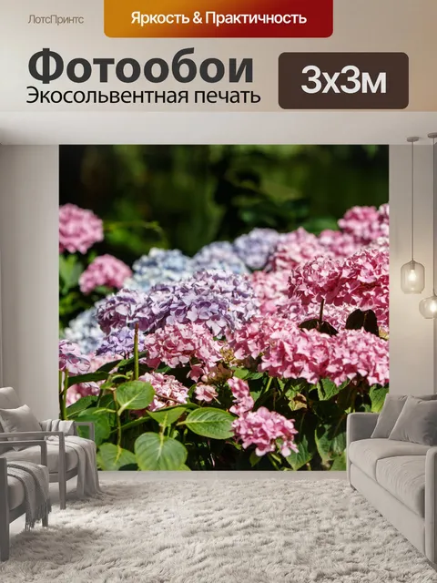 Фотообои Гортензия Цветы