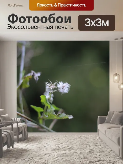 Фотообои Фон