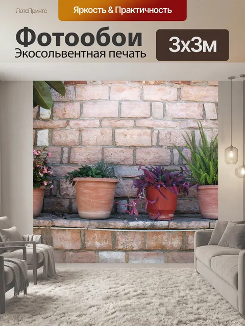 Фотообои Цветочные горшки
