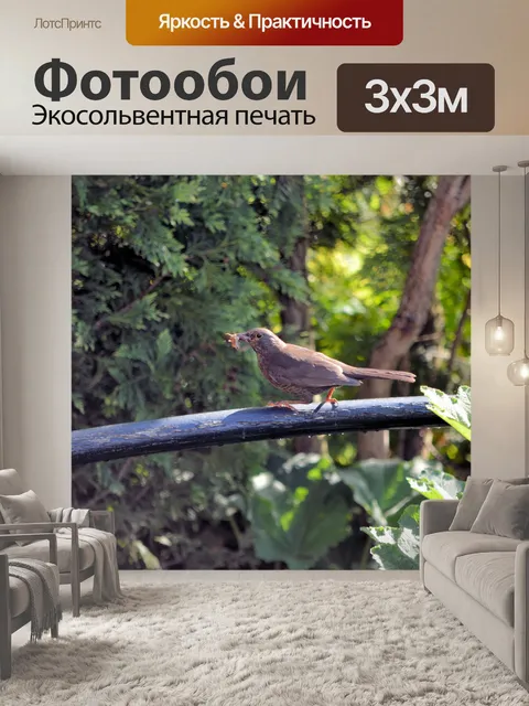 Фотообои Еда