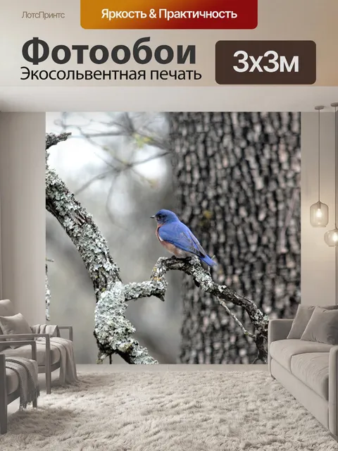 Фотообои Синяя птица зимой