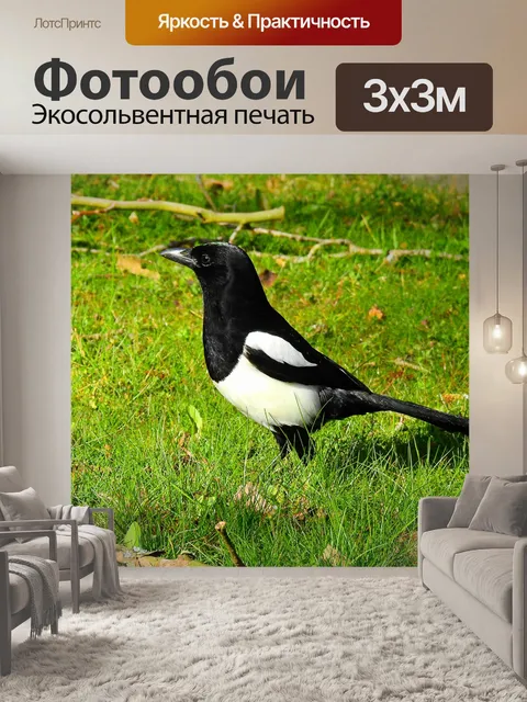 Фотообои Птица