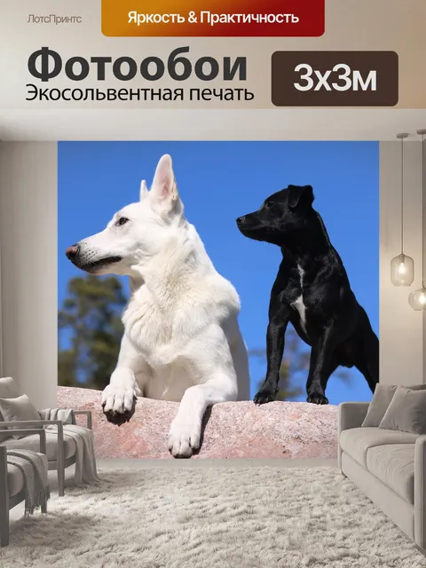 Фотообои Собаки
