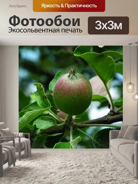 Фотообои Apple