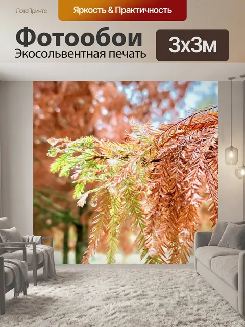 Фотообои Деревья