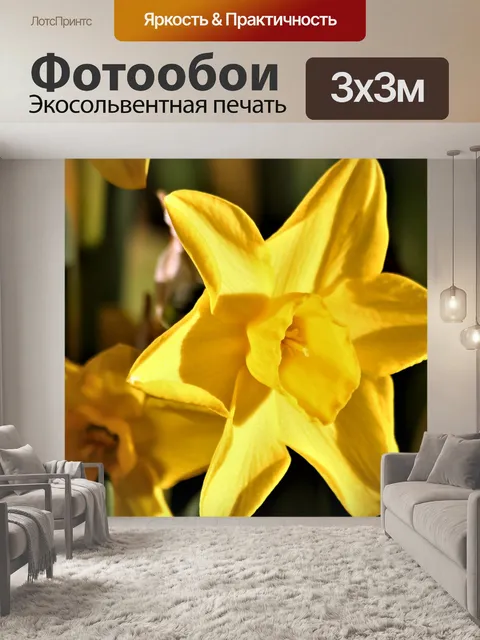 Фотообои Жёлтый нарцисс крупным планом 3