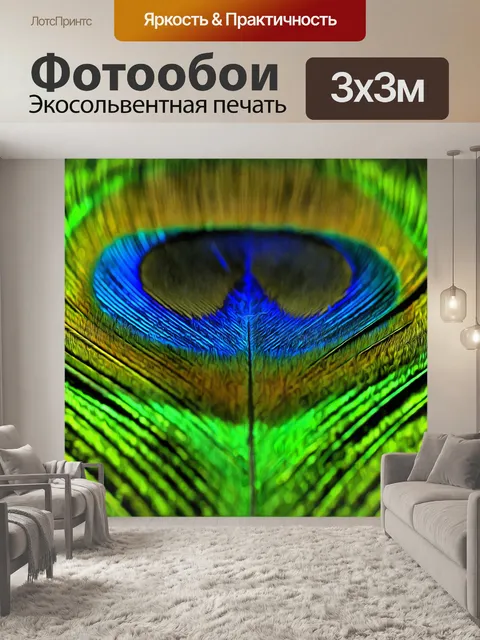 Фотообои Павлинье перо перо цвет фона