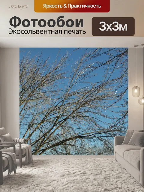Фотообои Дерево