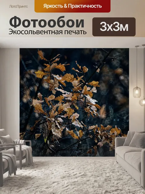 Фотообои Лес