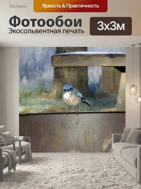 Фотообои голубая яйская птица