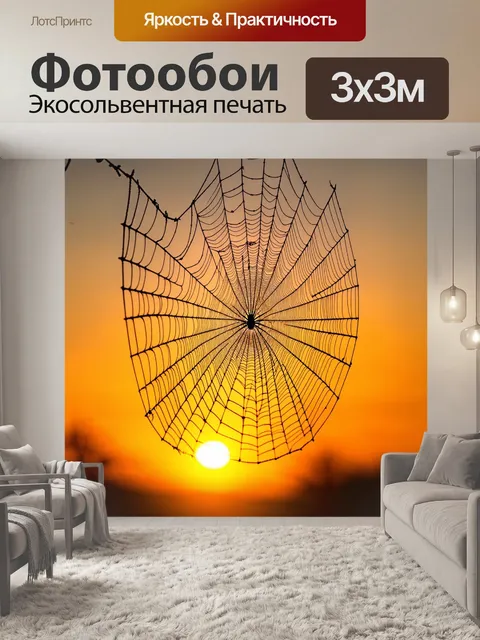 Фотообои текстура паутины на фоне заката