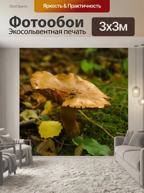 Фотообои Гриб