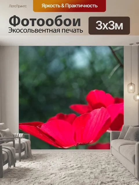 Фотообои Глубокие красные лепестки цветка анемона