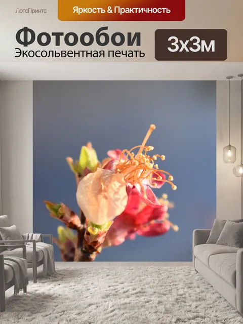 Фотообои Цветы