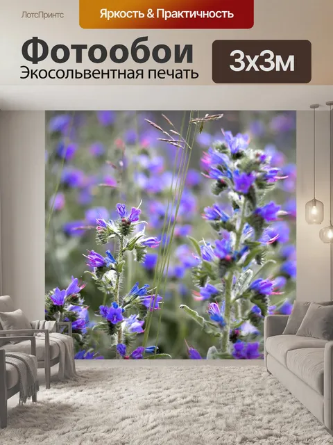 Фотообои Цветы