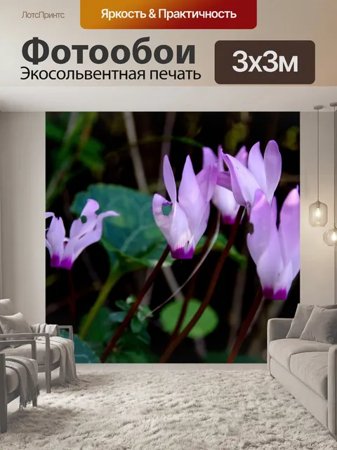 Фотообои Цикламен цветы и листья