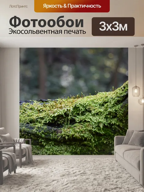 Фотообои Деревья