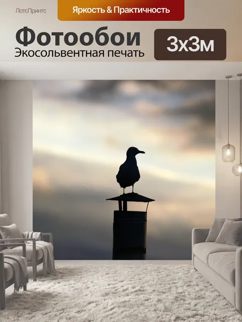 Фотообои Чайка