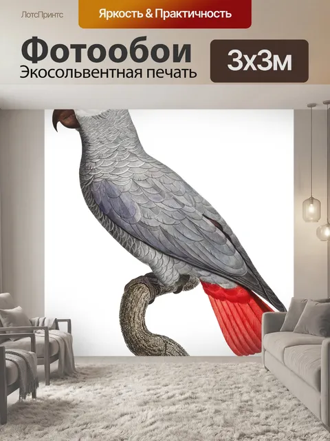 Фотообои Попугай птица старинное искусство