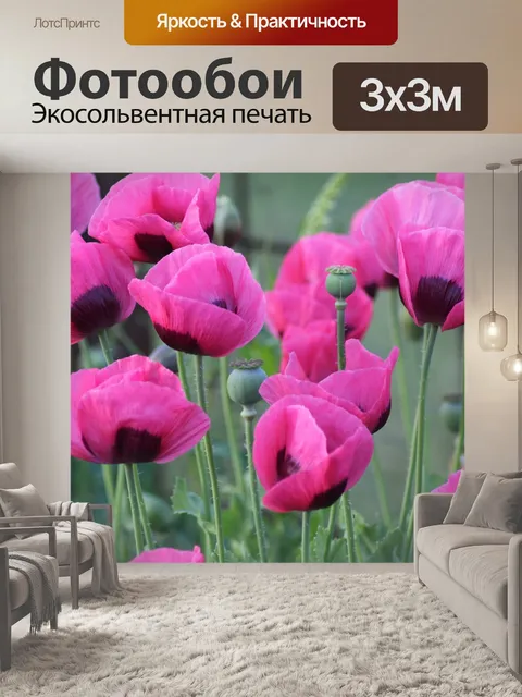 Фотообои Маки
