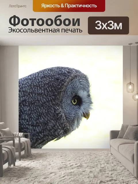 Фотообои Птица
