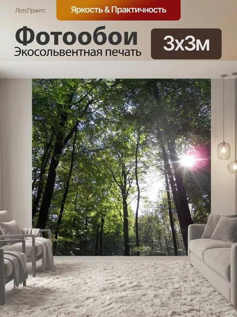 Фотообои Лес