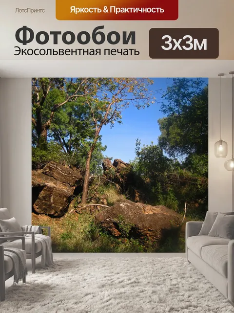 Фотообои деревья между скал на холме