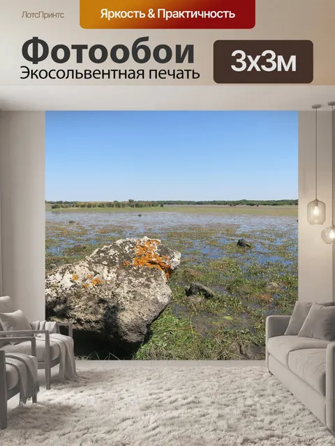 Фотообои Бесплатные лошади
