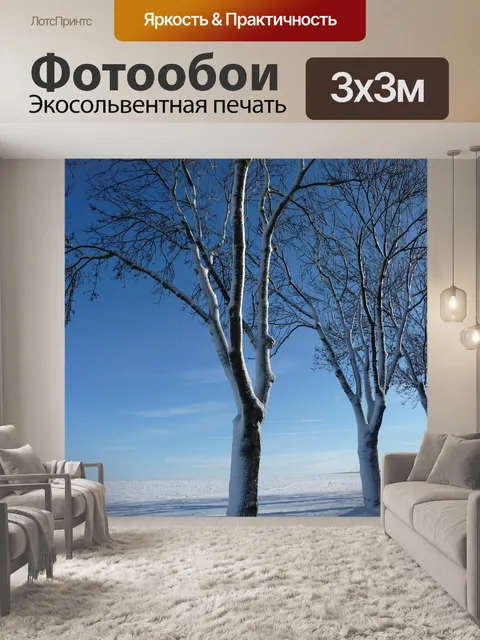 Фотообои Зима