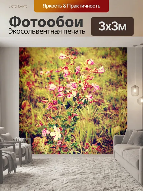 Фотообои Красивый цветок