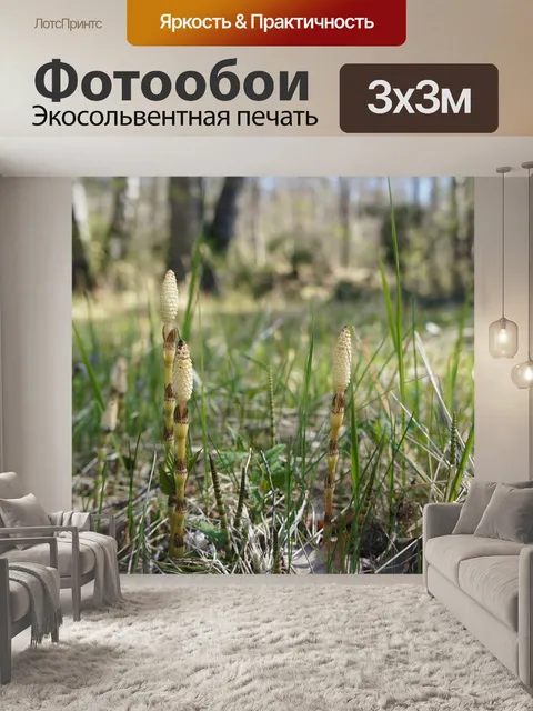 Фотообои Природа