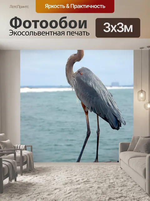 Фотообои Большая голубая цапля