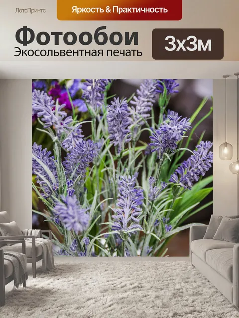 Фотообои лаванда