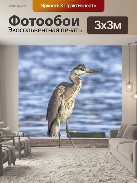Фотообои Птица