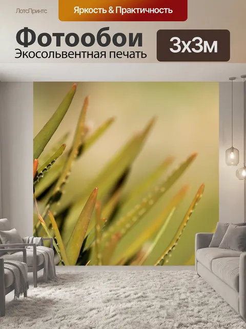 Фотообои Природа