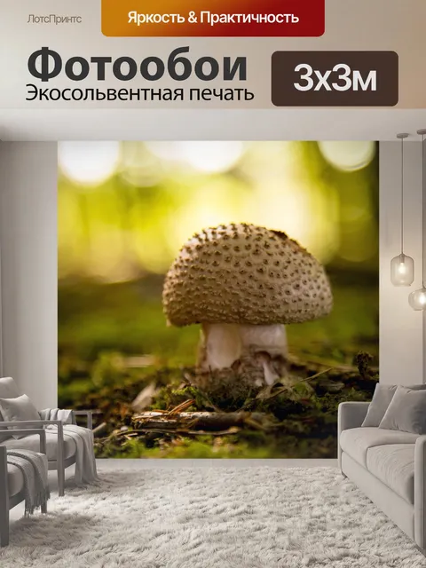 Фотообои грибы