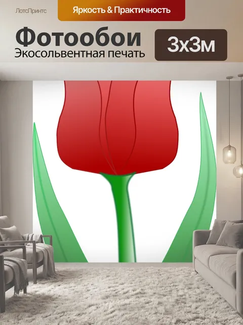 Фотообои Тюльпан