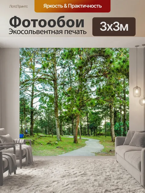 Фотообои Национальный парк Фуруа, Лоэй Таиланд