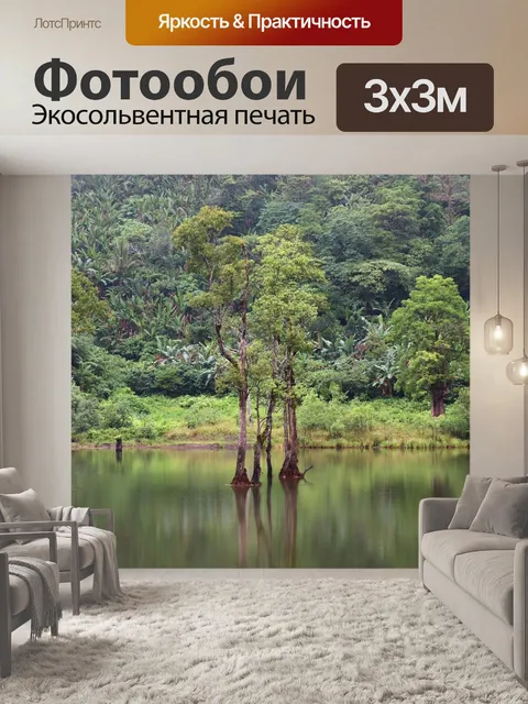 Фотообои Пейзаж джунгли