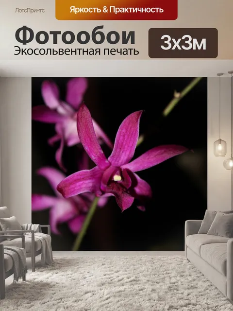 Фотообои Цветы