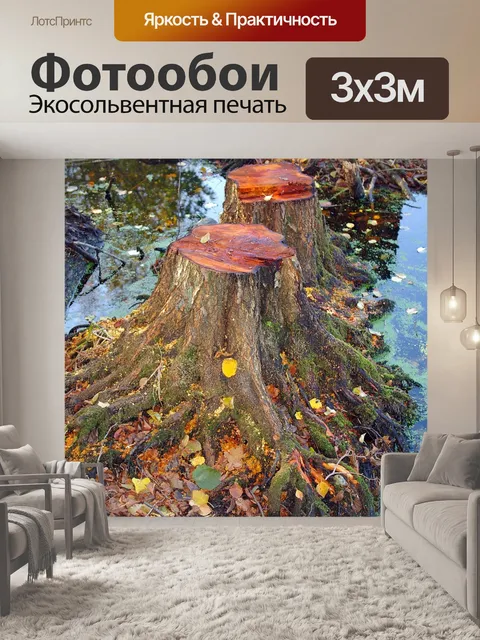 Фотообои Падение