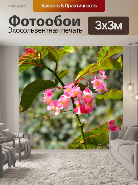 Фотообои Цветы