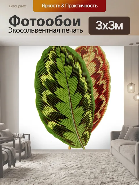Фотообои Листва лист растение прозрачный