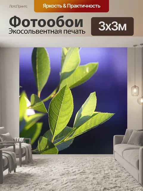 Фотообои Листья