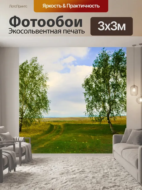 Фотообои Березы на дороге