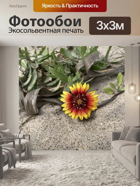 Фотообои Полевой цветок
