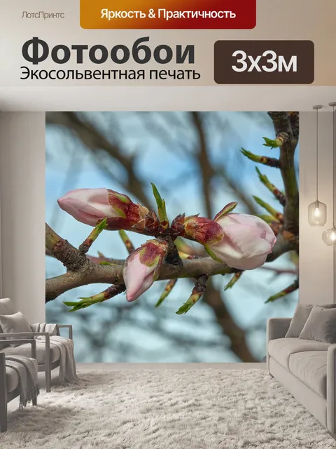Фотообои Миндальное дерево