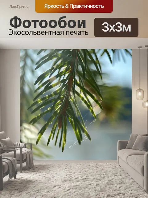 Фотообои Ель