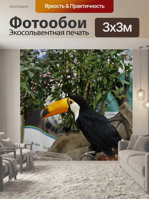 Фотообои Тукан